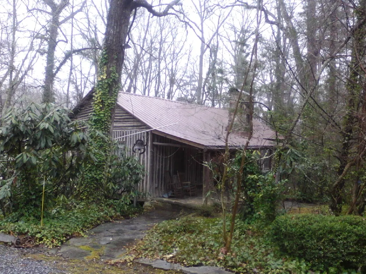 Weathered metal roof on an old board sided cabin in the woods in Oak Hill